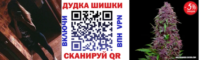 Бошки Шишки SATIVA & INDICA  Купить закладки  Валдай 